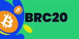 BRC20 Token